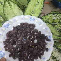 مویز پاک کرده خوش مزه و شیرین