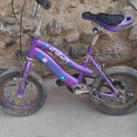 دوچرخه ۱۶|دوچرخه، اسکیت، اسکوتر|شاندیز, |دیوار