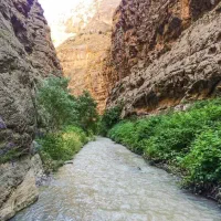 همراهی در سفر