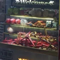 یخچال پروتیینی