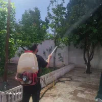 سمپاشی و باغبانی