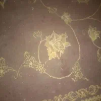 تعدادچندقلم لوازم منزل