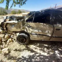 سمند تصادفی