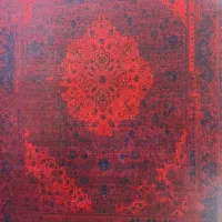 کناره فرش ناردون لاکی گلشهر سلیمانی|فرش|زنجان, |دیوار