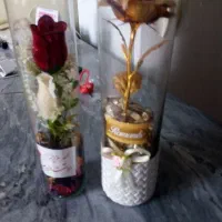 همشون باهم پونصد سالم|صنایع دستی و سایر لوازم تزئینی|تربتحیدریه, بالا ولایت|دیوار