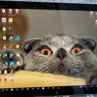 لب‌تاب|رایانه همراه|جوانرود, |دیوار