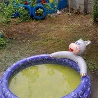 استخر بادی بزرگ