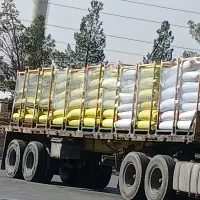 نیروی خانم
