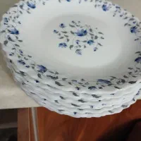 تعداد ظروف پزیرای