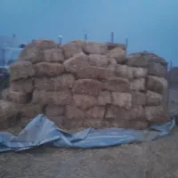 کاه گندم پرس ینجه خروم موجوداست