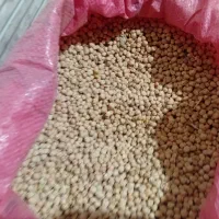 عسل طبیعی وخشکبار کرمانشاه|خوردنی و آشامیدنی|کاشان, فین بزرگ|دیوار