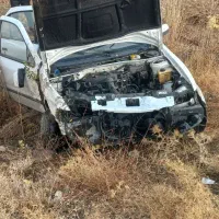 سمندتصادفی