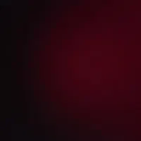 نیازمند سرمایه گذار