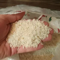 برنج هاشمی اصل