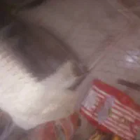 کمد|اجاق گاز و لوازم برقی پخت‌وپز|بم, |دیوار