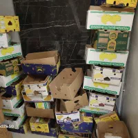 کارتن موز سالم