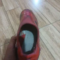 استوک f50|کیف، کفش، کمربند|فردیس, قریشی|دیوار