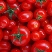 گوجه گیلاسی ارگانیک