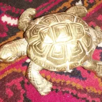 مجسمه برنز لاک پشت