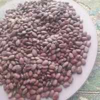 لو بیا قرمز  خوش پخت نیشابور پاک شد