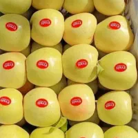 انواع نهال سیب پیوندی|خدمات باغبانی و درختکاری|سمیرم, |دیوار