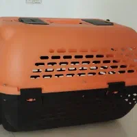 جابه جایی سگ و گربه