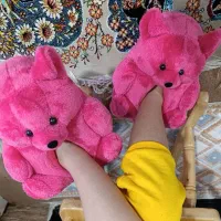 پاپوش خرس پاگنده|کفش و لباس بچه|تبریز, |دیوار