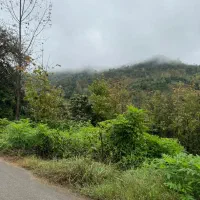 250 متر مسکونی ویوجنگلی، کاسبی