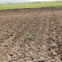 ۱۰۴ هکتار زمین دیم بر جاده اراک قم