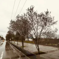 فروش-زمین-208متری