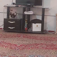 تلوزیون بیست وچهاراینچ همراه بامیز