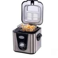 مینی سرخ کن