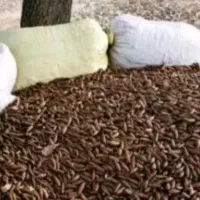 بلوط درجه یک تحویلی