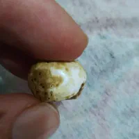 مهره.اصل|جواهرات|گنبد کاووس, |دیوار