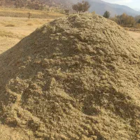 آلفسوزه|حیوانات مزرعه|مریوان, |دیوار