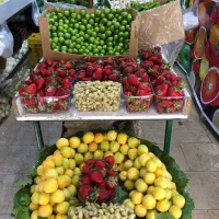 کارگر ساده میوه فروشی با شرایط مناسب
