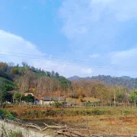 320متر-زمین-کوهپایه-ای-منطقه-زیبای-سیاه-مزگی