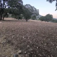 فروش زمین ۳۵۰۰ متر|فروش زمین و ملک کلنگی|اهواز, شهرک صنعتی شماره ۳|دیوار