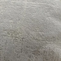 نیازمند پرستار