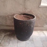 گلدان