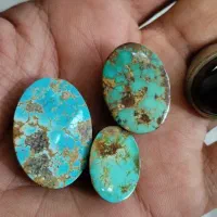فیروزه نیشابور شجر طبیعی و با کیفیت