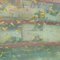 مرکز پخش ماهی رنگی|ماهی|اردبیل, |دیوار