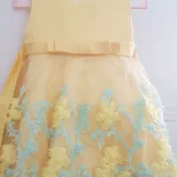 کفش و پیراهن مجلسی دخترانه