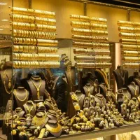 فرصت همکاری جذب مدیاکار حرفه‌ای