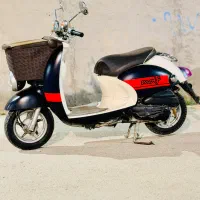 پاکشتی وینو مدل مُلف