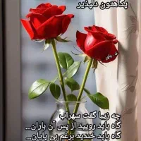 همکار آشپزخانه مرکزی