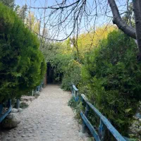 باغ-سیاخ-دارنگون