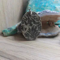 دو نمونه از شجر خاکی و شجر بهاره فو قلاده زیبا|جواهرات|میبد, |دیوار