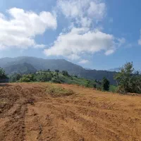 بلندترین نقطه ویو جنگل و دریا و تمام شهرهای با سند|فروش زمین و ملک کلنگی|چابکسر, |دیوار