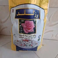 برنج هندی سوناماسوری(پاکستانی درجه ۱)۲۵کیلوموجوده